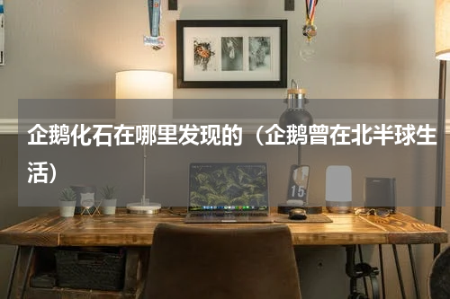 企鹅化石在哪里发现的（企鹅曾在北半球生活）