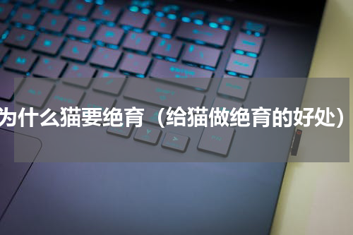 为什么猫要绝育（给猫做绝育的好处）