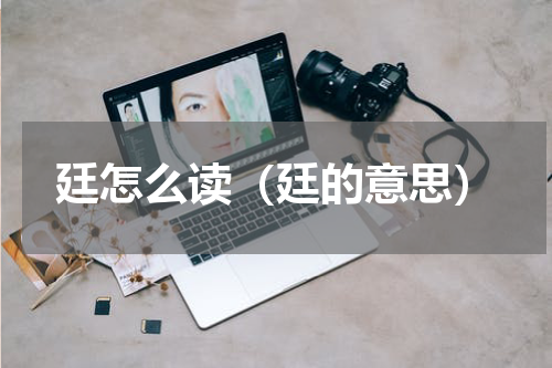 廷怎么读（廷的意思）