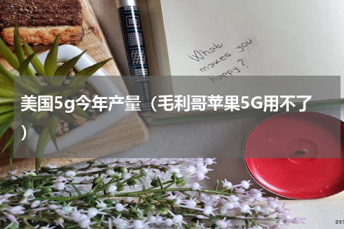 美国5g今年产量（毛利哥苹果5G用不了）