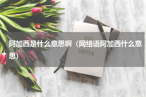 阿加西是什么意思啊（网络语阿加西什么意思）