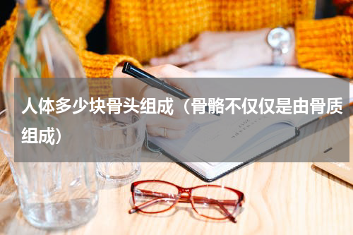 人体多少块骨头组成（骨骼不仅仅是由骨质组成）
