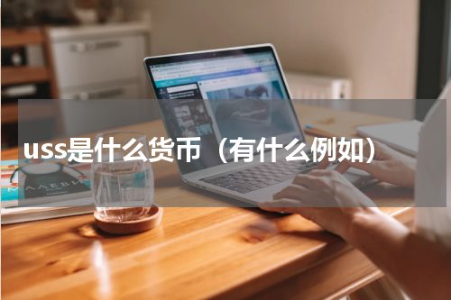 uss是什么货币（有什么例如）