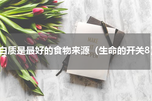 蛋白质是最好的食物来源（生命的开关8）