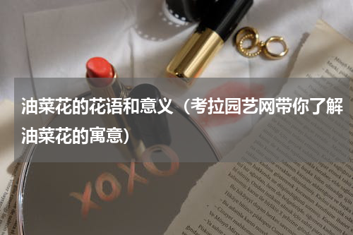 油菜花的花语和意义（考拉园艺网带你了解油菜花的寓意）