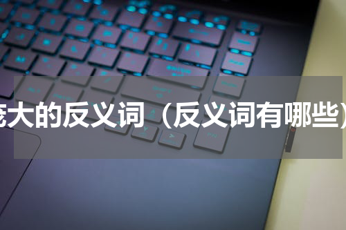 庞大的反义词（反义词有哪些）