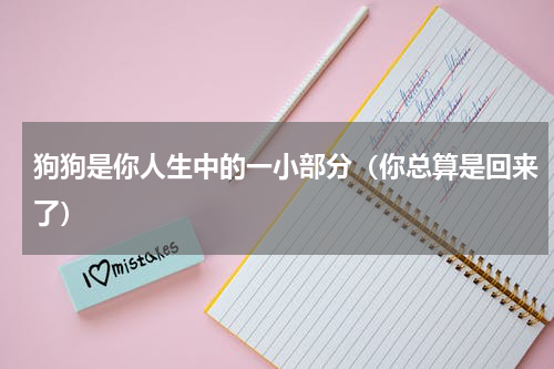 狗狗是你人生中的一小部分（你总算是回来了）