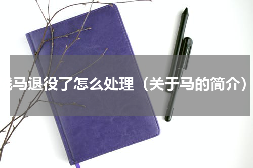 战马退役了怎么处理（关于马的简介）