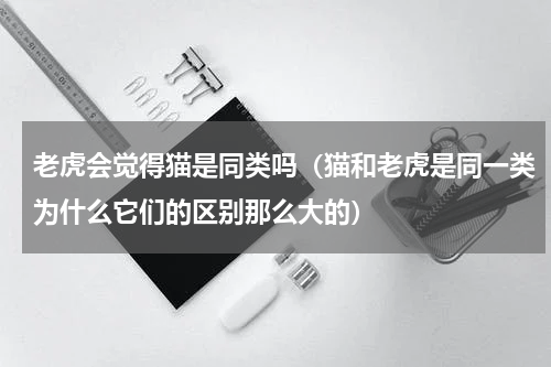 老虎会觉得猫是同类吗（猫和老虎是同一类为什么它们的区别那么大的）