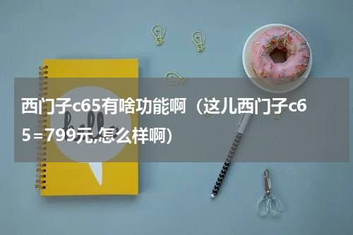 西门子c65有啥功能啊（这儿西门子c65=799元,怎么样啊）