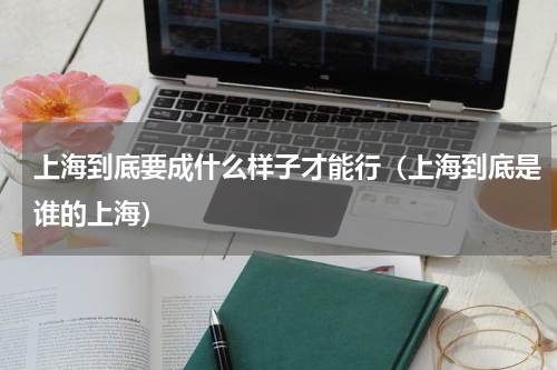 上海到底要成什么样子才能行（上海到底是谁的上海）