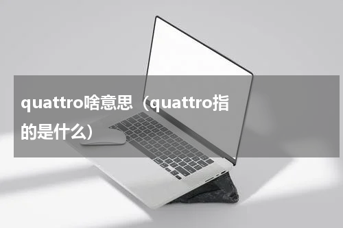 quattro啥意思（quattro指的是什么）