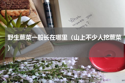 野生蕨菜一般长在哪里（山上不少人挖蕨菜）