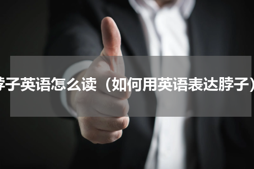 脖子英语怎么读（如何用英语表达脖子）