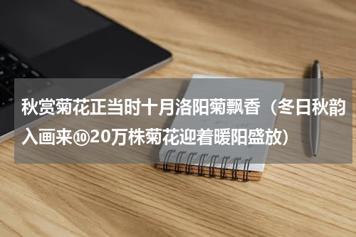 秋赏菊花正当时十月洛阳菊飘香（冬日秋韵入画来⑩20万株菊花迎着暖阳盛放）