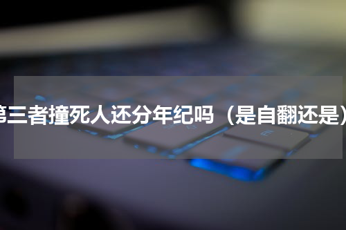 第三者撞死人还分年纪吗（是自翻还是）