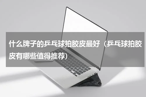 什么牌子的乒乓球拍胶皮最好（乒乓球拍胶皮有哪些值得推荐）