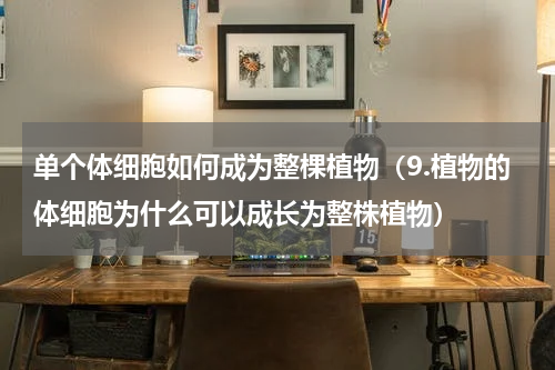 单个体细胞如何成为整棵植物（9.植物的体细胞为什么可以成长为整株植物）
