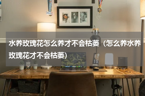 水养玫瑰花怎么养才不会枯萎（怎么养水养玫瑰花才不会枯萎）