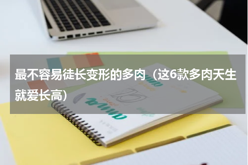 最不容易徒长变形的多肉（这6款多肉天生就爱长高）