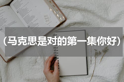 （马克思是对的第一集你好）