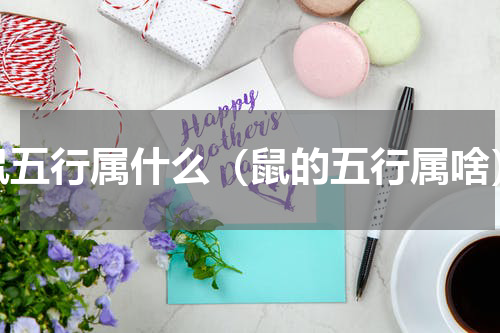 鼠五行属什么（鼠的五行属啥）