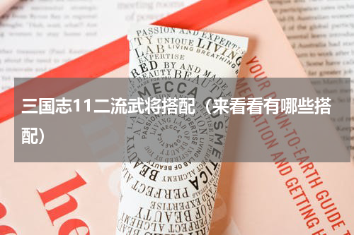 三国志11二流武将搭配（来看看有哪些搭配）