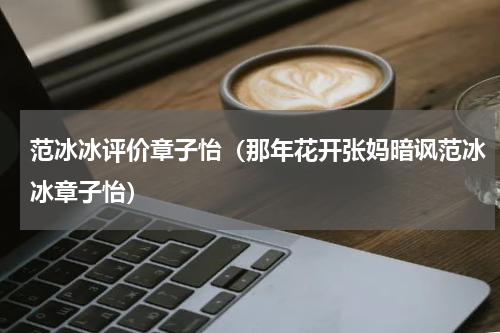 范冰冰评价章子怡（那年花开张妈暗讽范冰冰章子怡）