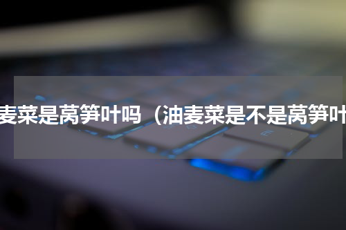 油麦菜是莴笋叶吗（油麦菜是不是莴笋叶）