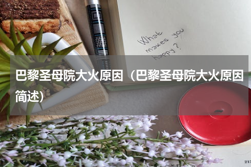 巴黎圣母院大火原因（巴黎圣母院大火原因简述）
