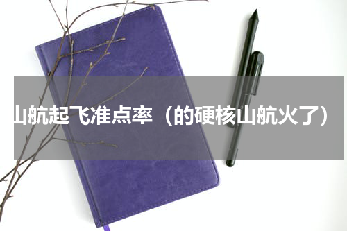 山航起飞准点率（的硬核山航火了）