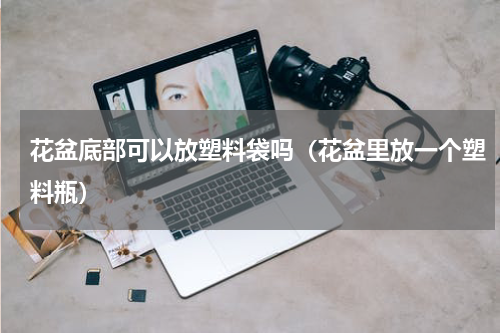 花盆底部可以放塑料袋吗（花盆里放一个塑料瓶）