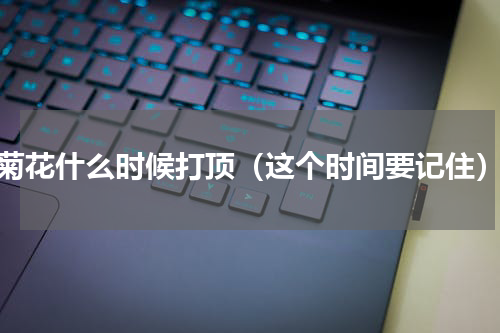 菊花什么时候打顶（这个时间要记住）
