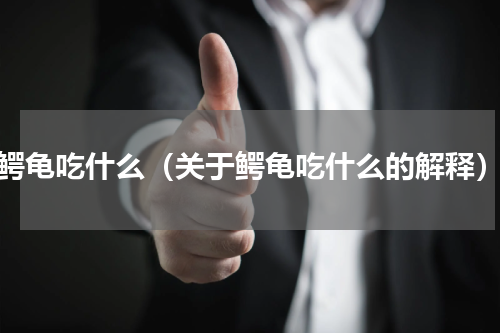 鳄龟吃什么（关于鳄龟吃什么的解释）