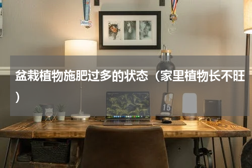 盆栽植物施肥过多的状态（家里植物长不旺）