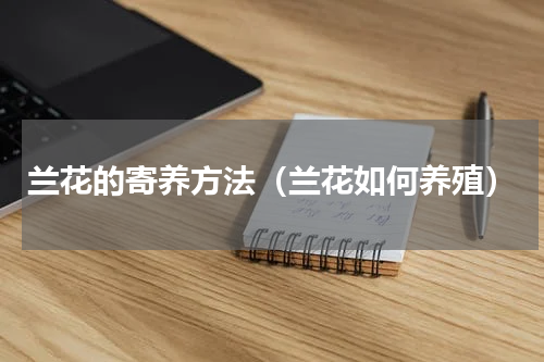 兰花的寄养方法（兰花如何养殖）