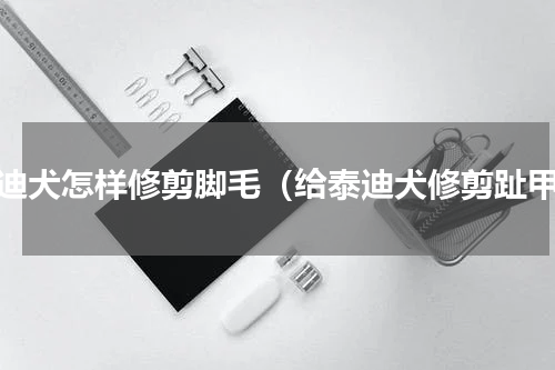 泰迪犬怎样修剪脚毛（给泰迪犬修剪趾甲）