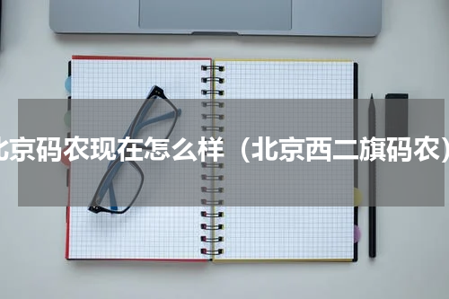 北京码农现在怎么样（北京西二旗码农）
