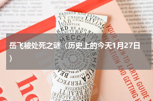 岳飞被处死之谜（历史上的今天1月27日）