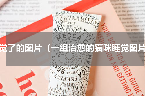 睡觉了的图片（一组治愈的猫咪睡觉图片）