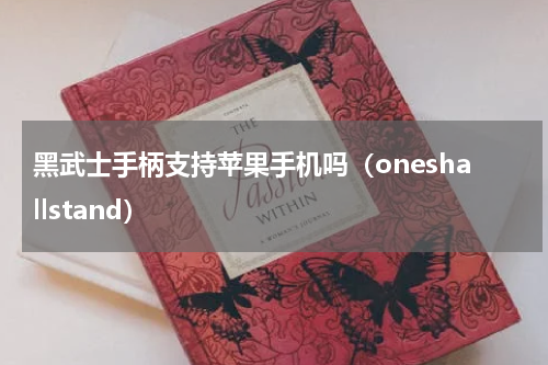 黑武士手柄支持苹果手机吗（oneshallstand）
