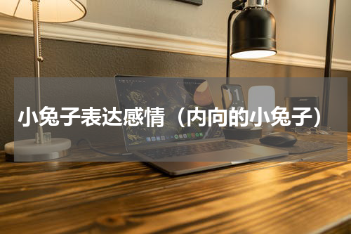 小兔子表达感情（内向的小兔子）