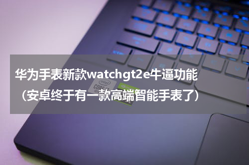 华为手表新款watchgt2e牛逼功能（安卓终于有一款高端智能手表了）