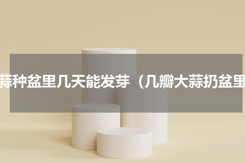 大蒜种盆里几天能发芽（几瓣大蒜扔盆里）