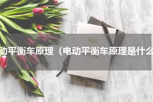 电动平衡车原理（电动平衡车原理是什么）