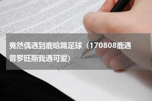 竟然偶遇到鹿晗踢足球（170808鹿遇普罗旺斯我遇可爱）