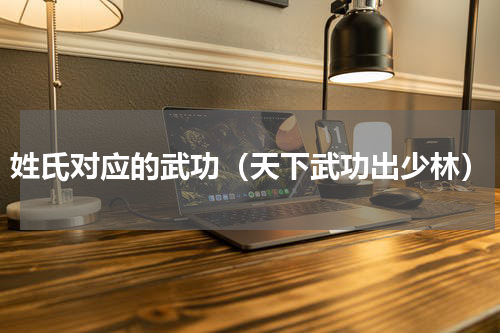 姓氏对应的武功（天下武功出少林）