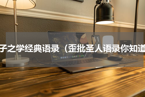 君子之学经典语录（歪批圣人语录你知道）