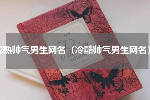 成熟帅气男生网名（冷酷帅气男生网名）