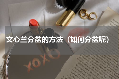 文心兰分盆的方法（如何分盆呢）